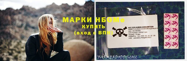 ГАЛЛЮЦИНОГЕННЫЕ ГРИБЫ Богданович