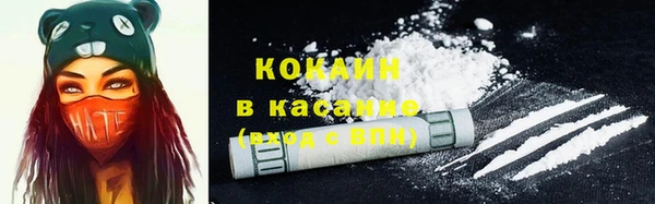 ГАЛЛЮЦИНОГЕННЫЕ ГРИБЫ Богданович