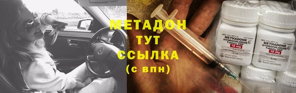 ГАЛЛЮЦИНОГЕННЫЕ ГРИБЫ Богданович