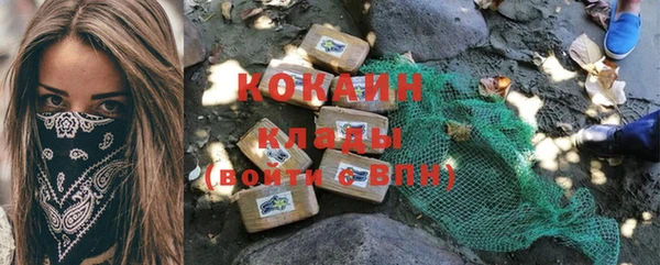 ГАЛЛЮЦИНОГЕННЫЕ ГРИБЫ Богданович