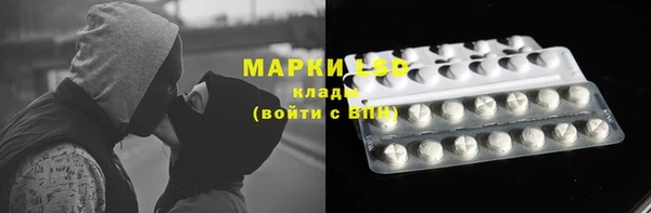 сатива Богородск
