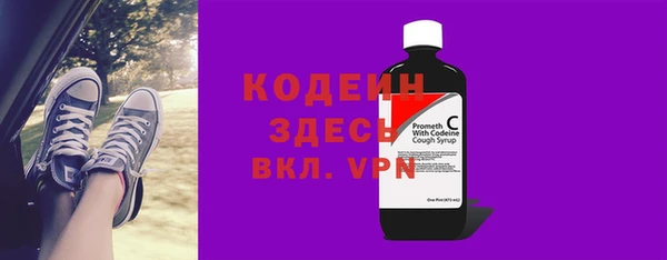 ГАЛЛЮЦИНОГЕННЫЕ ГРИБЫ Богданович