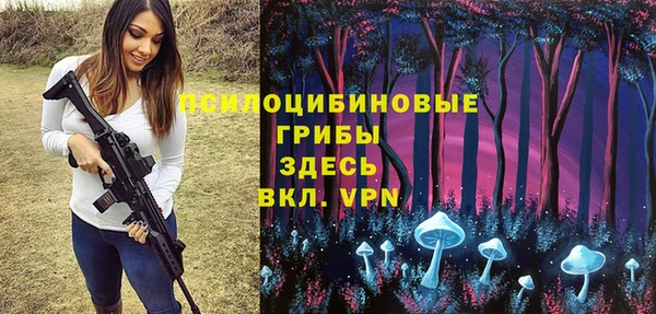 винт Бородино