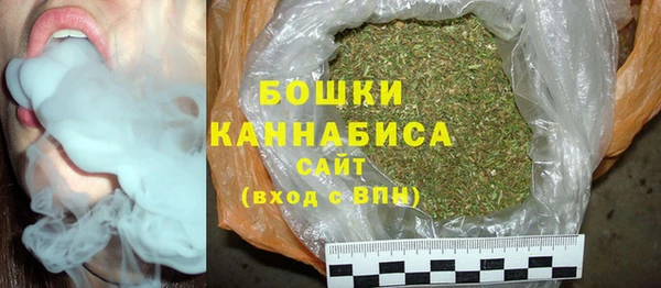 винт Бородино