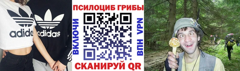 цены   Белово  Псилоцибиновые грибы MAGIC MUSHROOMS 